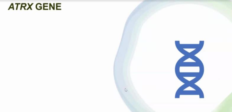 نقش اپی ژنتیک در بیماری ها - ارائه پایانی مهدیس نعمتی